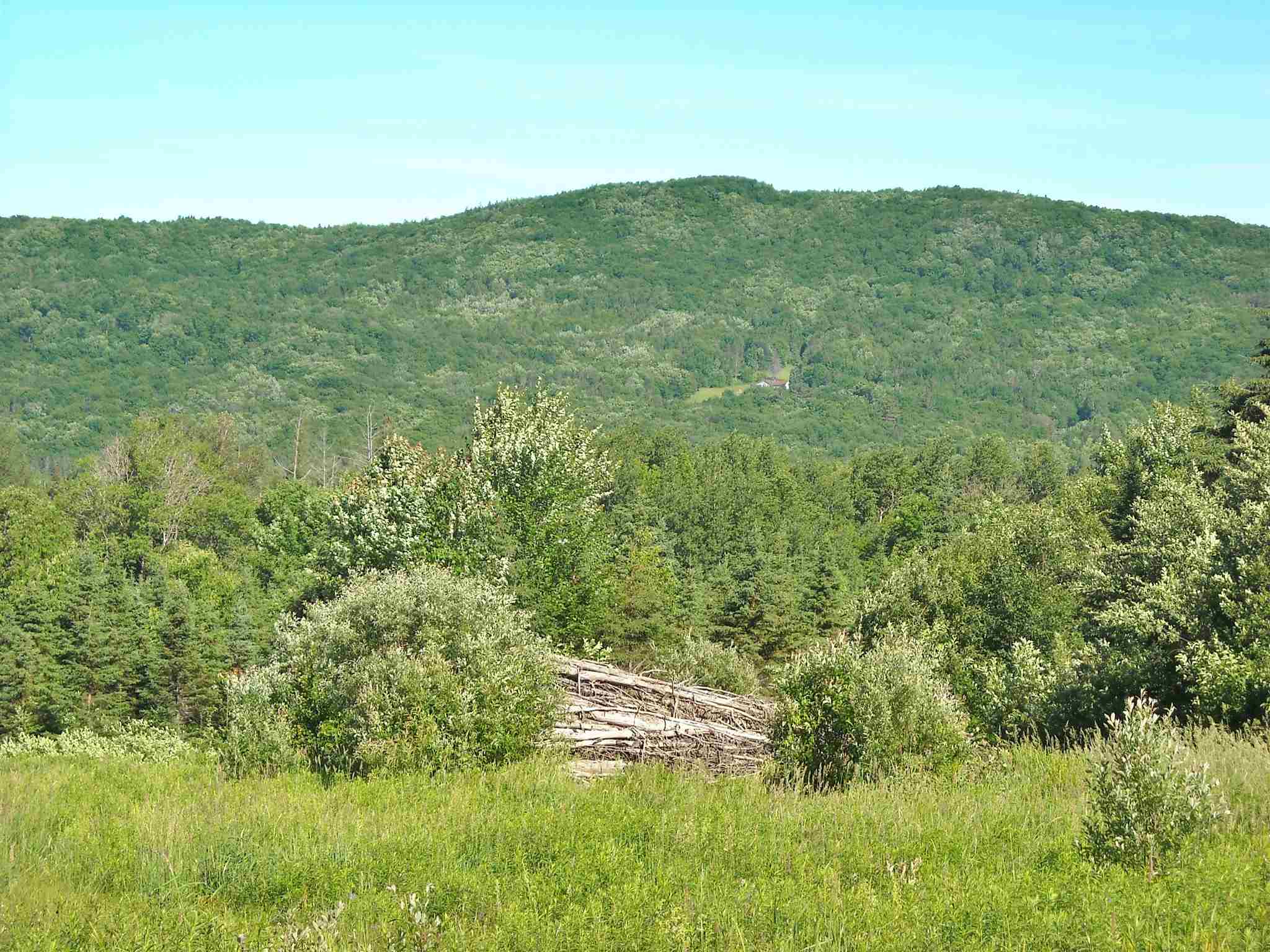 Toad Pond Road Morgan, VT 05853 - Photo 24 of 27