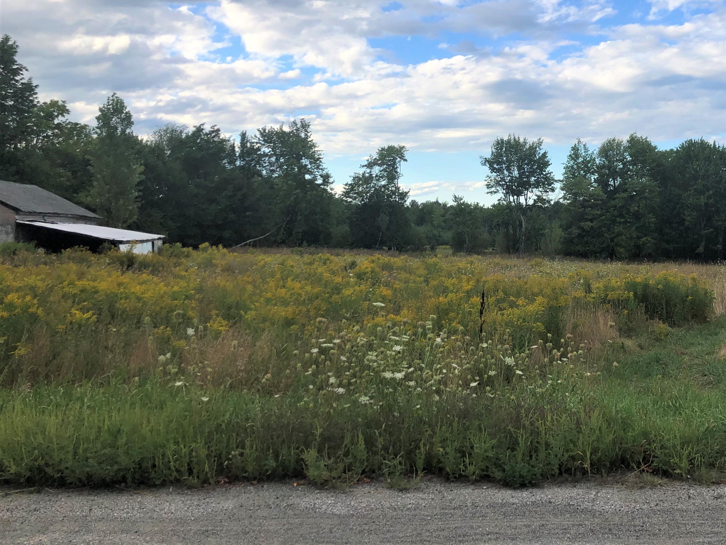 M10-l12a Webb Road Pittsfield, ME 04967 - Photo 9 of 10 2020-08-22 17.44.49