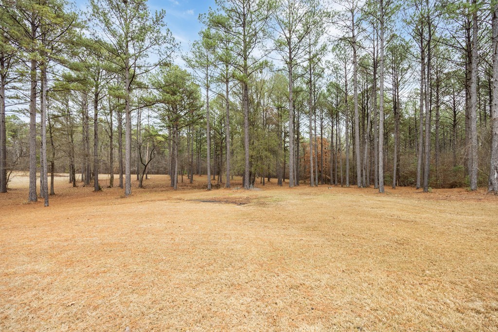 235 Voorhees Road Hamilton, GA 31811 - Photo 35 of 36 a view of outdoor space yard and trees