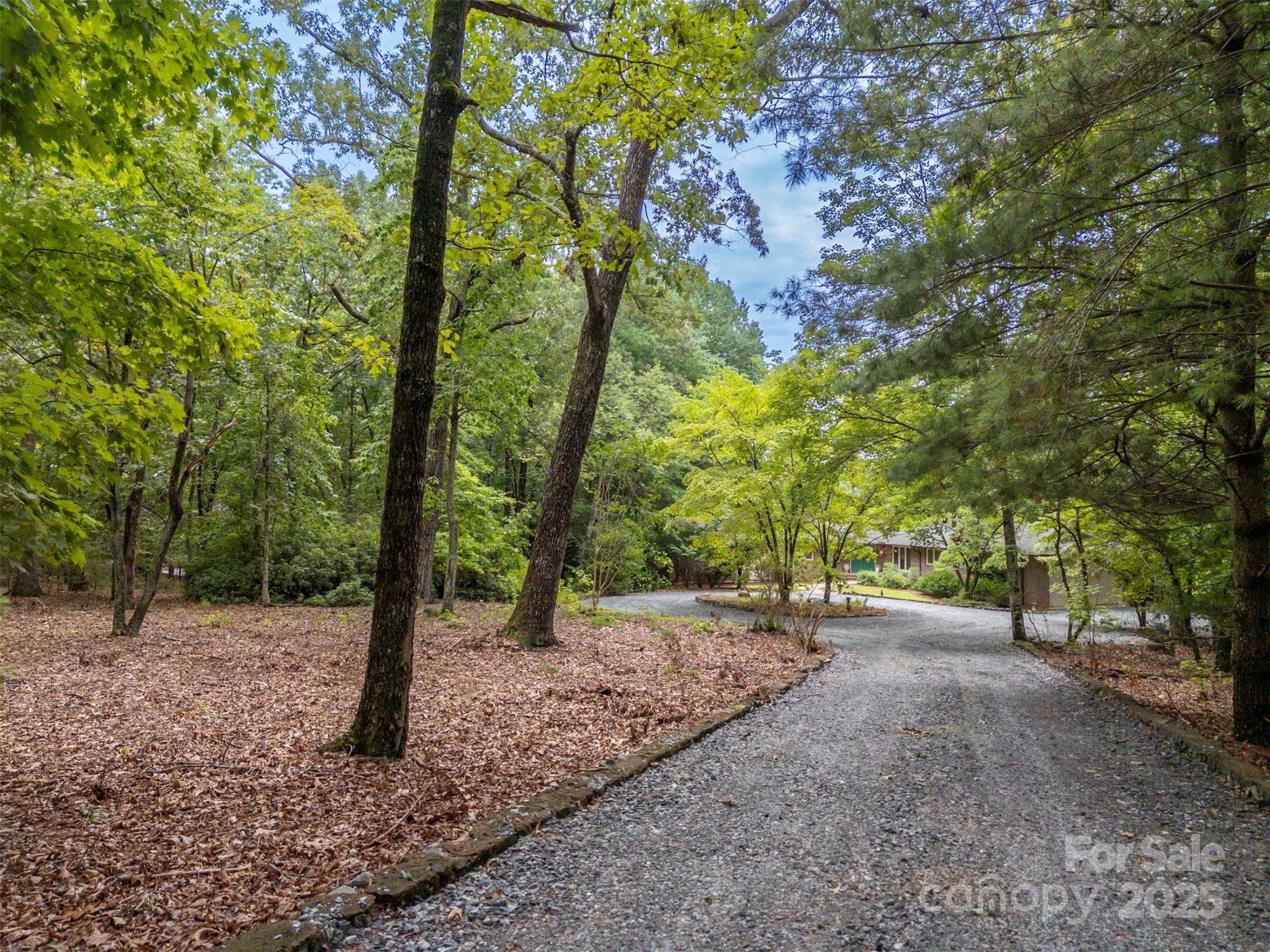 106 Bluebird Lane Tryon, NC 28782 - Photo 3 of 26 a view of a forest with trees
