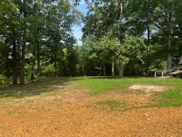 170 Ivy Lane Adamsville, TN 38310 - Photo 27 of 34 a view of a tree with a yard