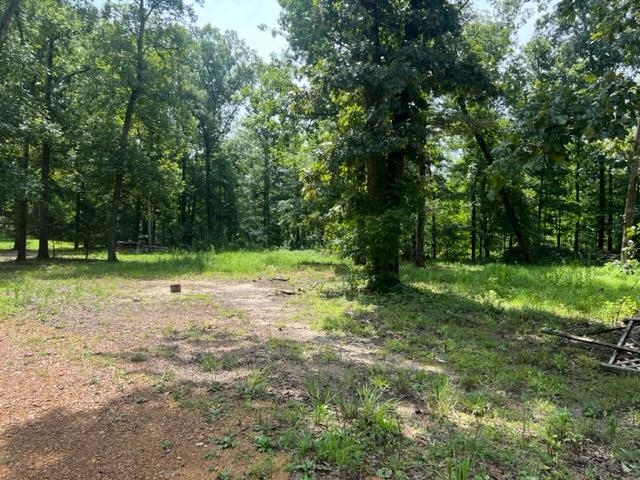 170 Ivy Lane Adamsville, TN 38310 - Photo 28 of 34 a view of outdoor space with trees all around