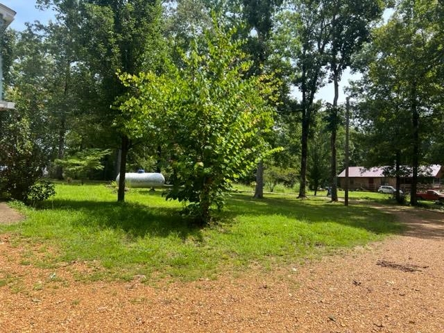 170 Ivy Lane Adamsville, TN 38310 - Photo 29 of 34 a view of a park with large trees