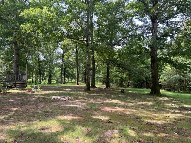 170 Ivy Lane Adamsville, TN 38310 - Photo 33 of 34 a fire hydrant in the middle of a field