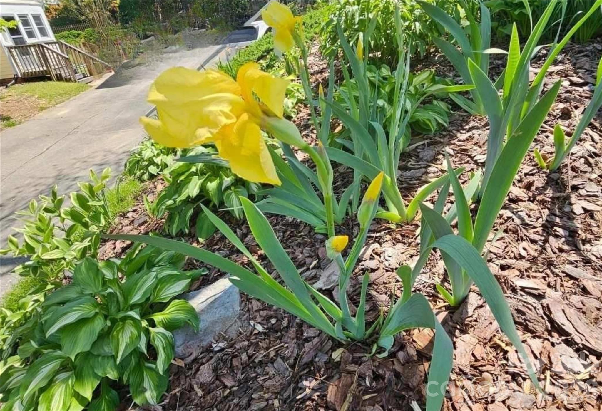 79 Fryling Avenue Southwest Concord, NC 28025 - Photo 31 of 37