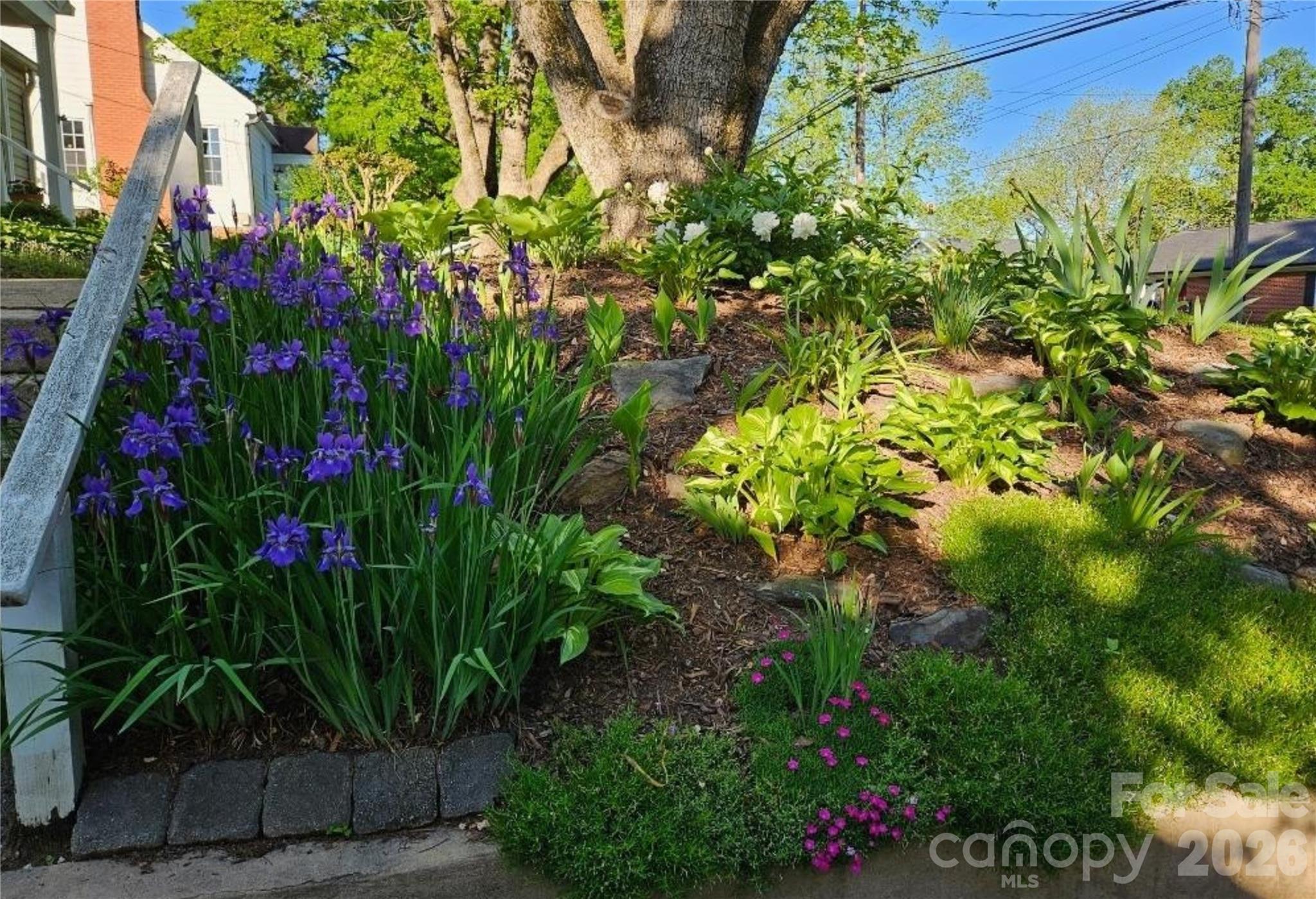 79 Fryling Avenue Southwest Concord, NC 28025 - Photo 32 of 37