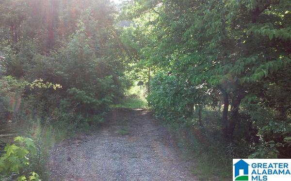 82 County Road, Unit 18 Wedowee, AL 36278 - Photo 4 of 12