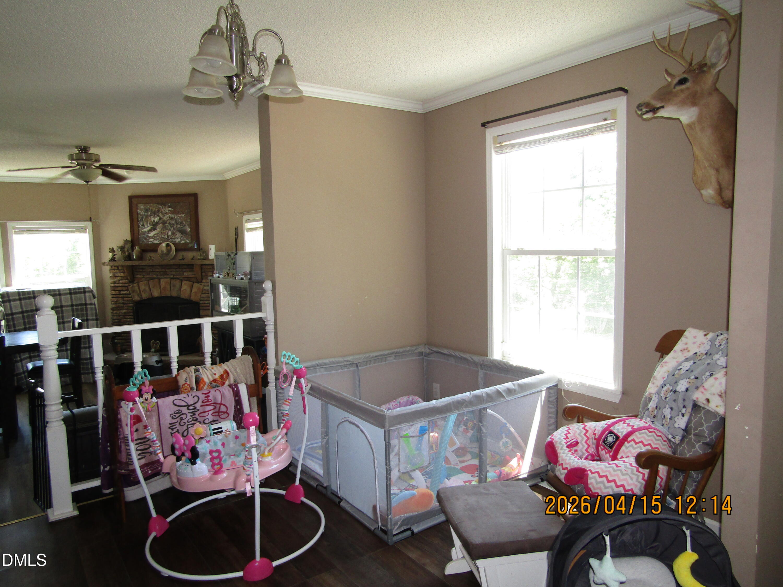 1115 Buck Swamp Road Goldsboro, NC 27530 - Photo 12 of 35 IMG_3281