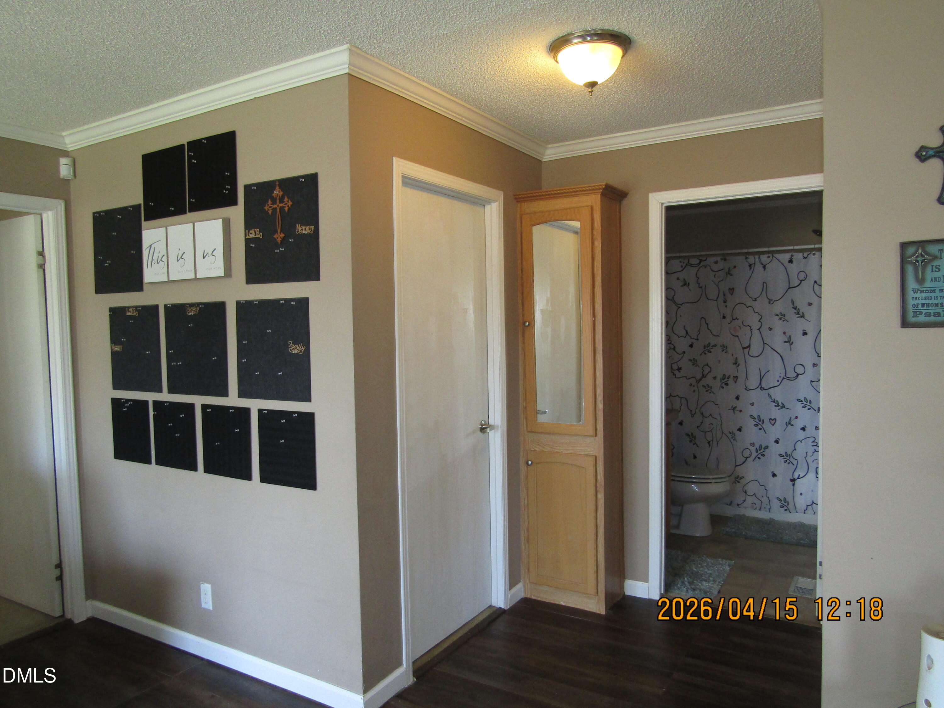 1115 Buck Swamp Road Goldsboro, NC 27530 - Photo 17 of 35 IMG_3290