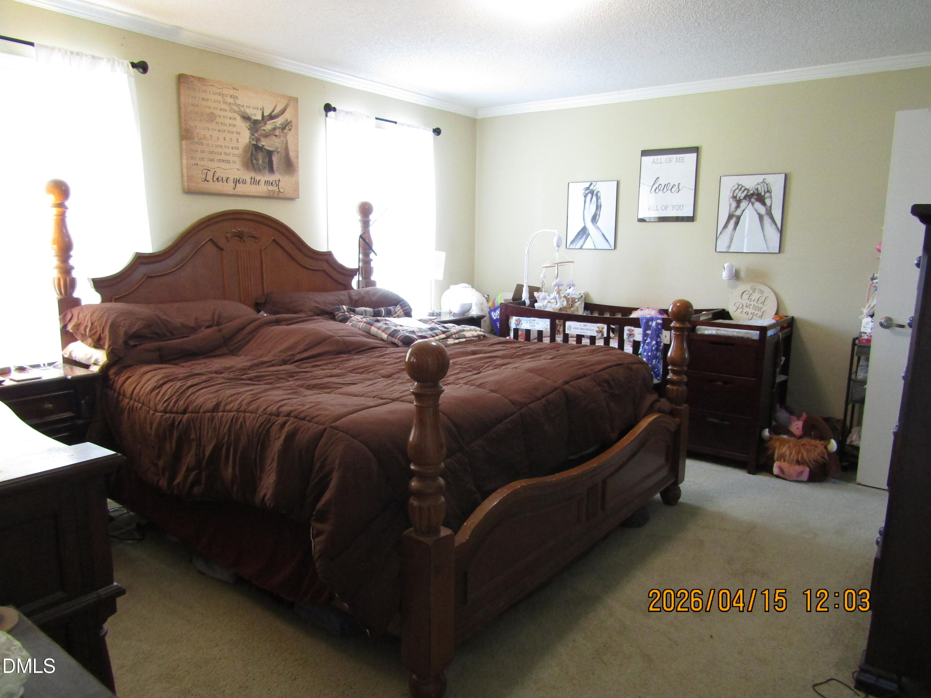 1115 Buck Swamp Road Goldsboro, NC 27530 - Photo 18 of 35 IMG_3263