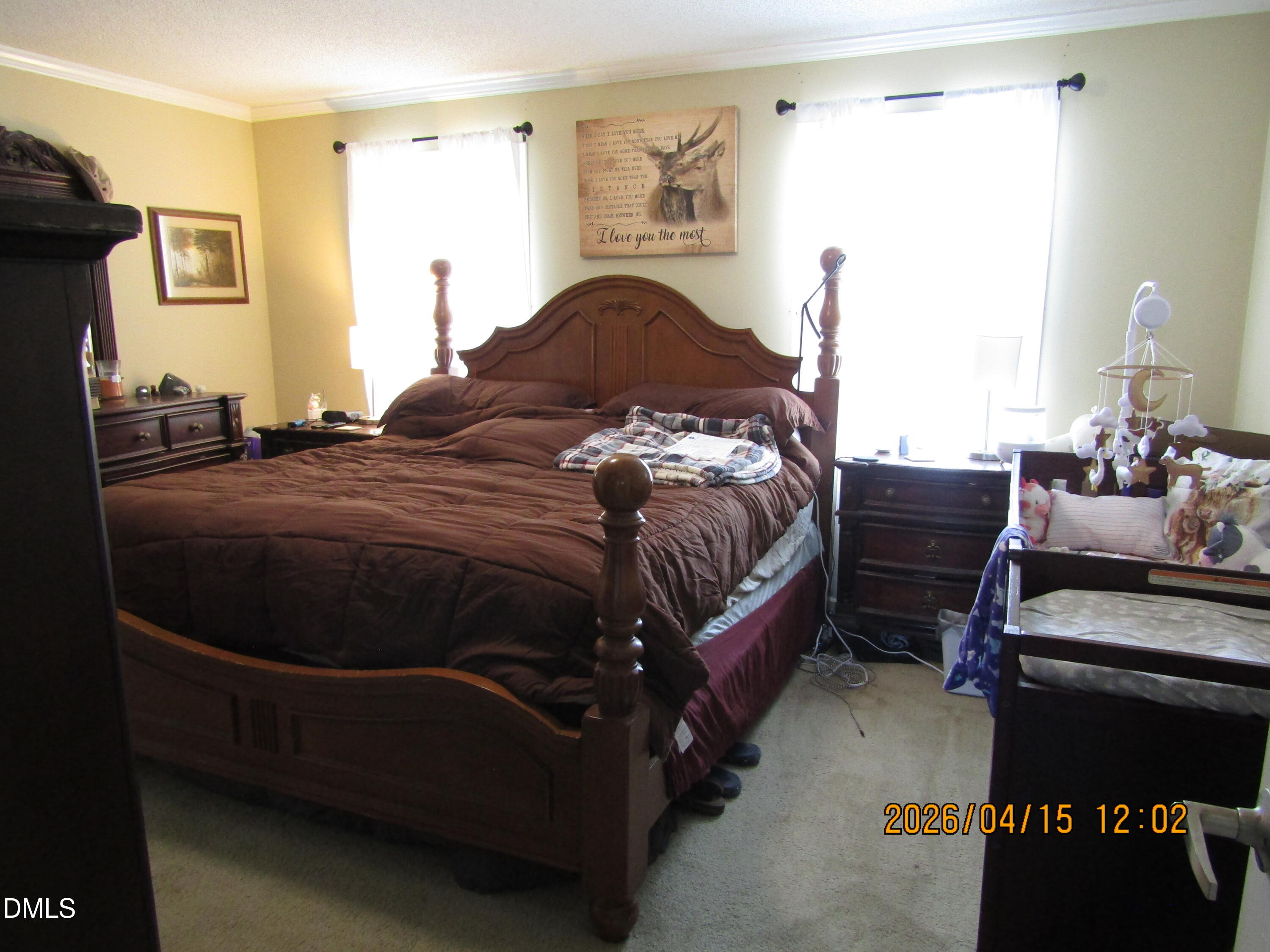 1115 Buck Swamp Road Goldsboro, NC 27530 - Photo 19 of 35 IMG_3258