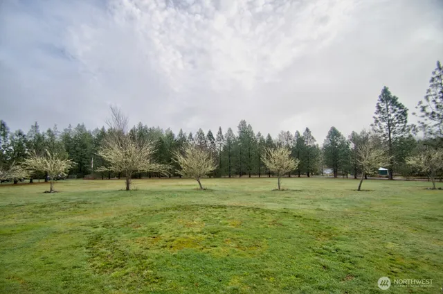 a view of a big yard with a house in the background