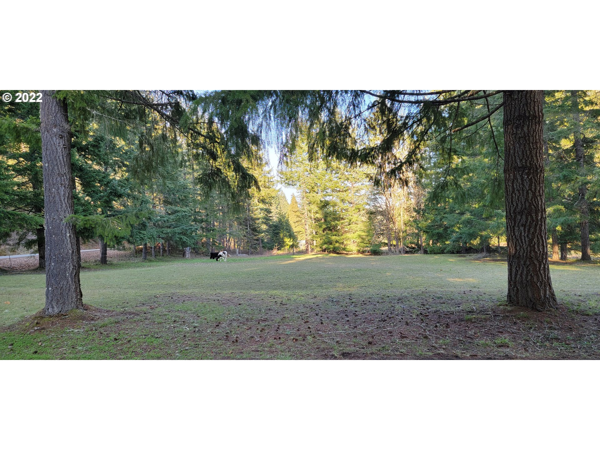 1824 Kent Creek Road Winston, OR 97496 - Photo 11 of 11 Gallery Image 11