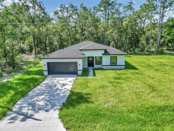 a front view of a house with yard and green space