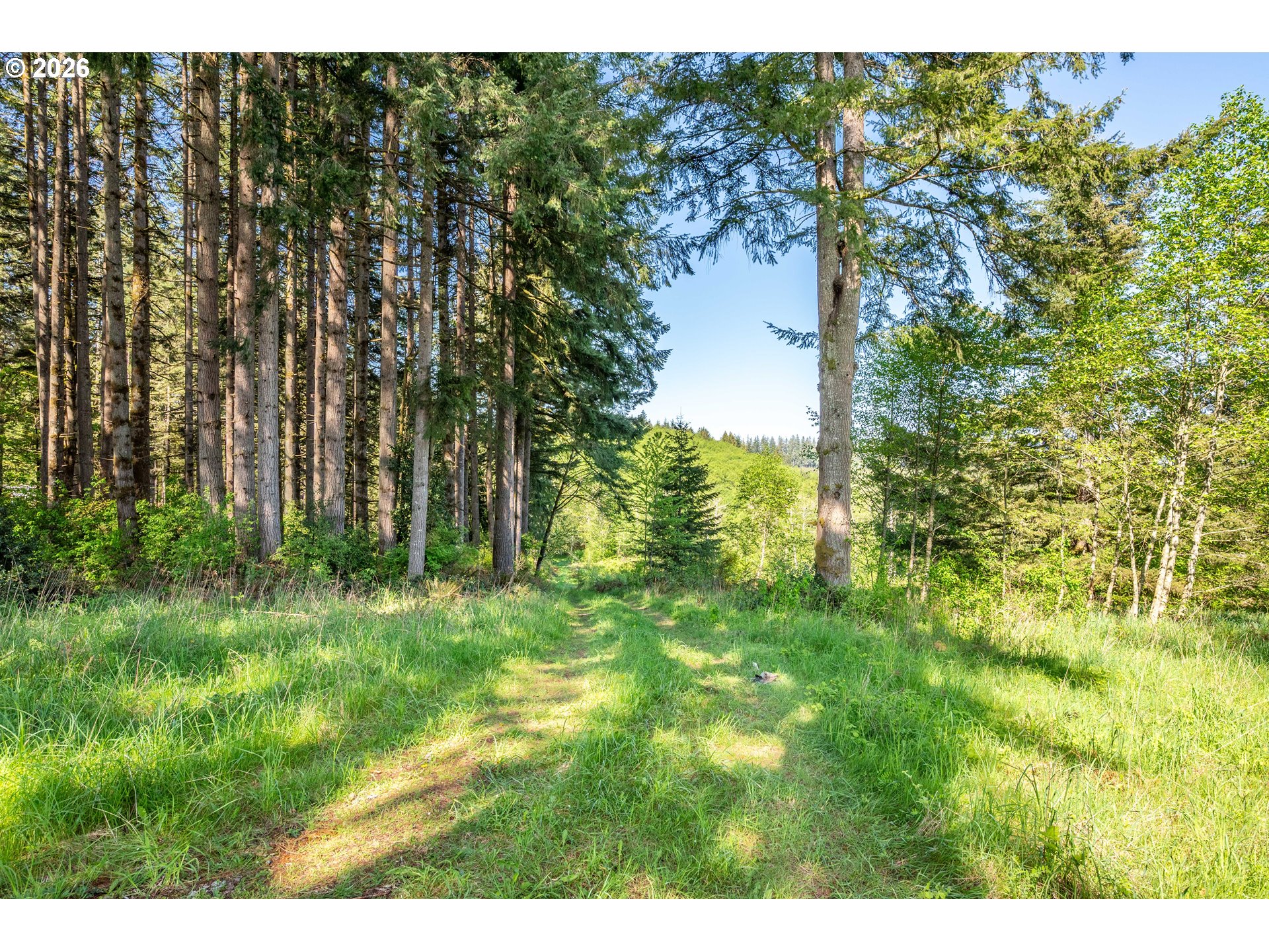 26977 Hammond Road Rainier, OR 97048 - Photo 22 of 32