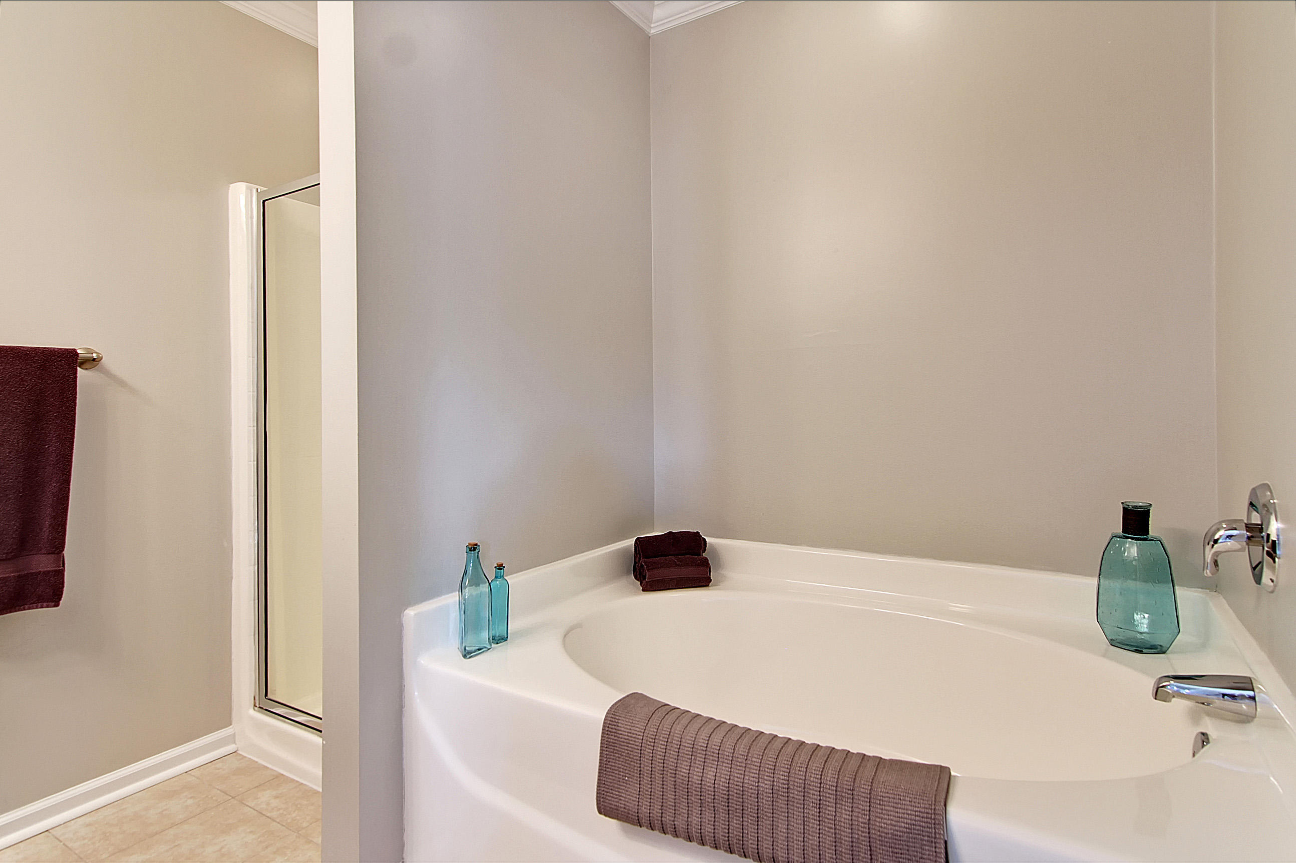 1475 Roustabout Way Charleston, SC 29414 - Photo 23 of 45 Master Tub!