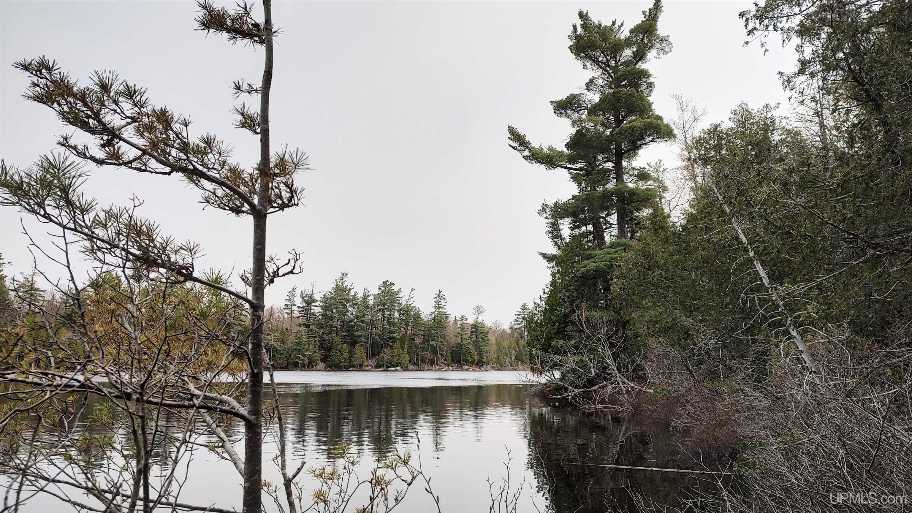 Tbd Tbd Durchman Lake Road Lanse, MI 49946 - Photo 6 of 56