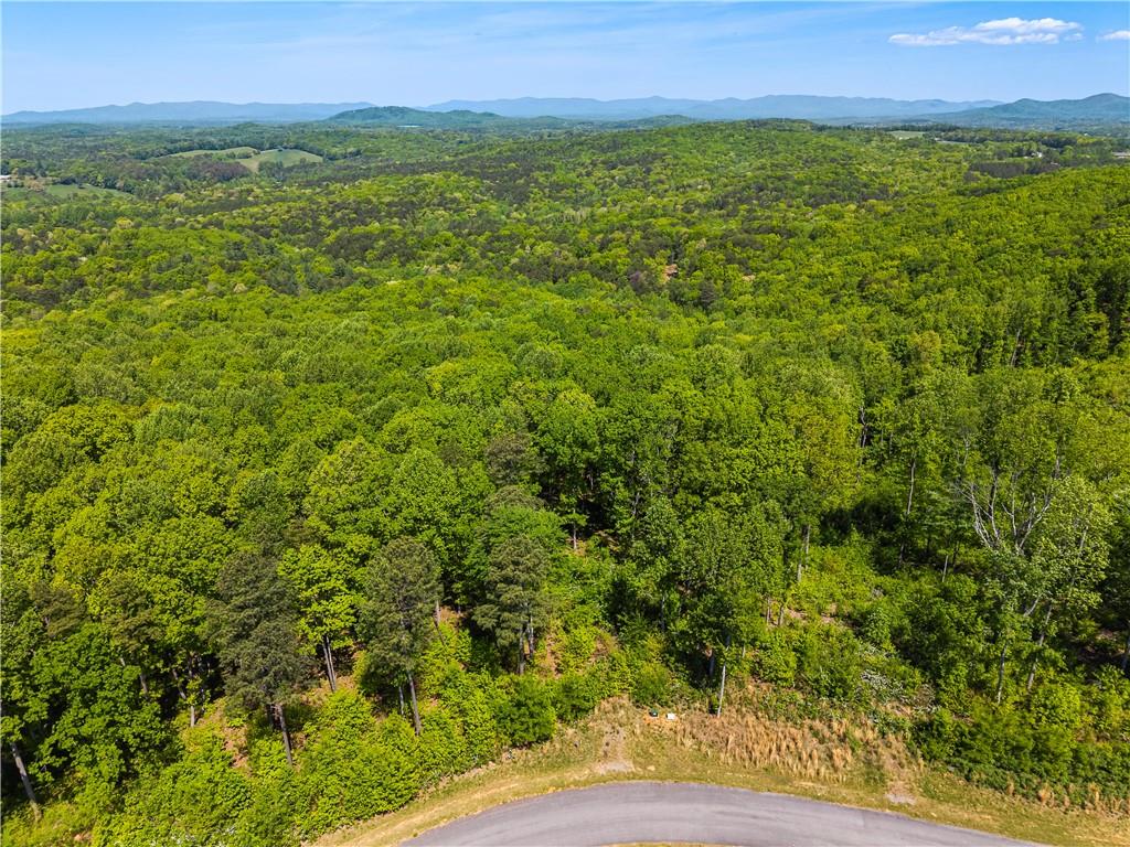 112 Twisted Oak Road Talking Rock, GA 30175 - Photo 6 of 14 a view of a lush green outdoor space with a lake view