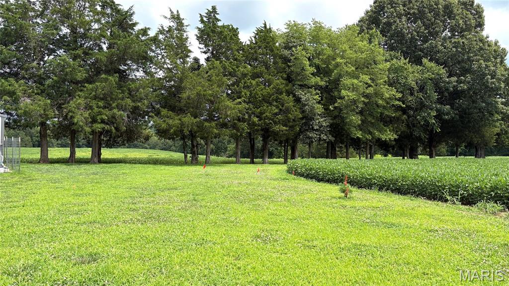 920 South Poplar Camp Road Makanda, IL 62958 - Photo 17 of 53