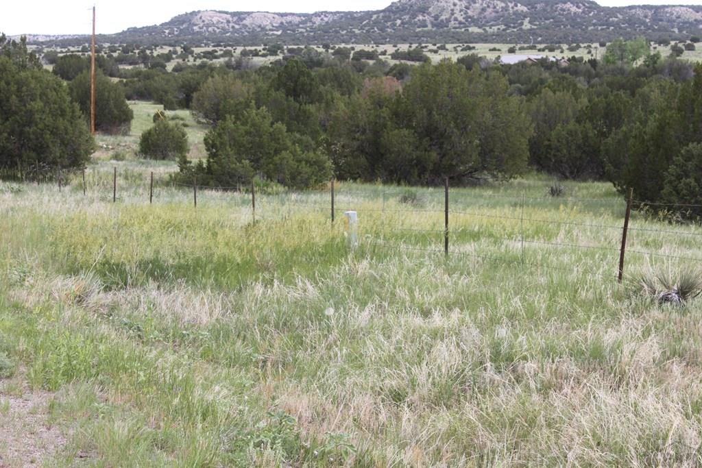 Tbd South Tbd S Waterbarrel Road Beulah, CO 81023 - Photo 18 of 21