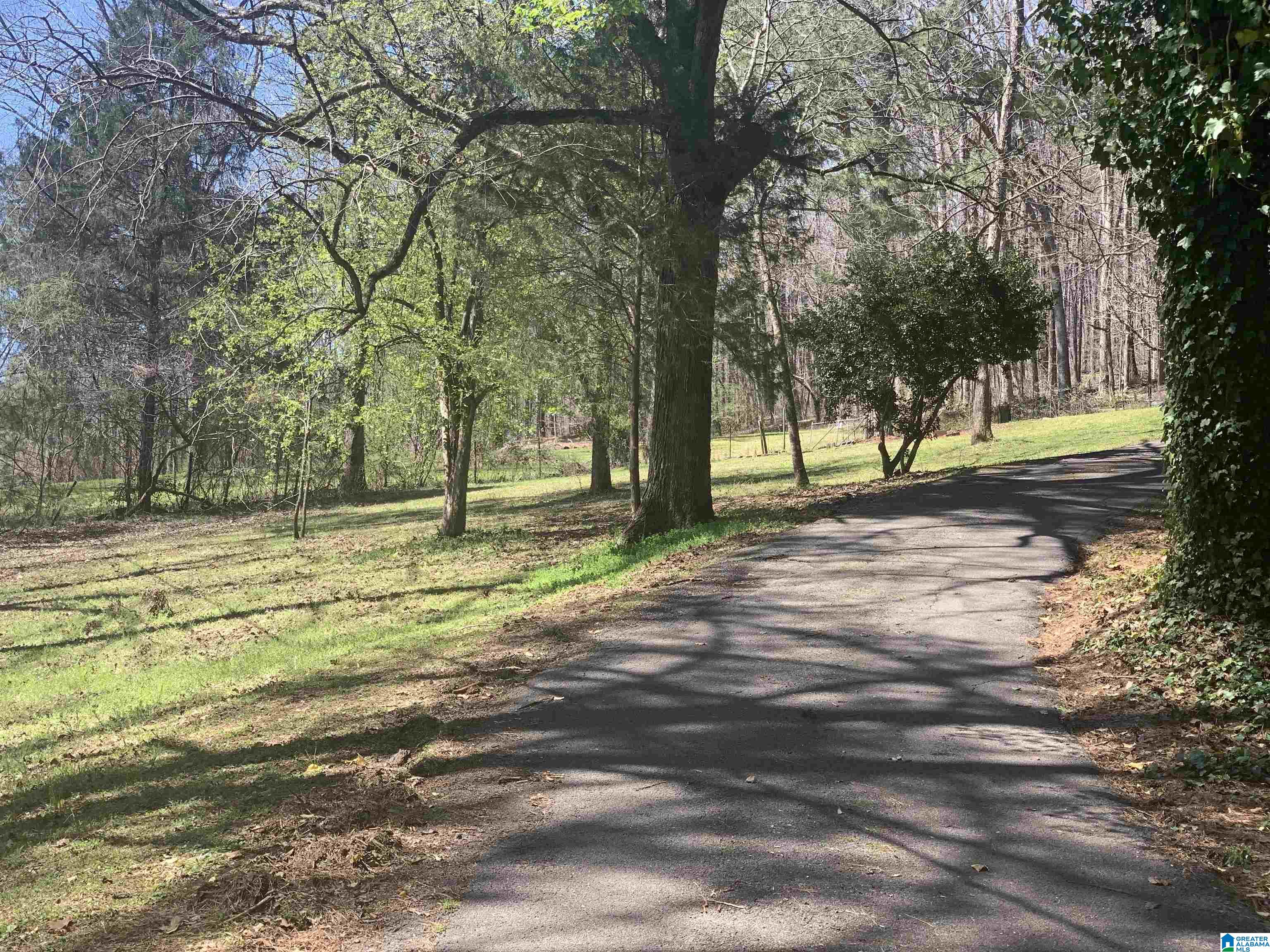 9469 Highway 11 Springville, AL 35146 - Photo 7 of 29