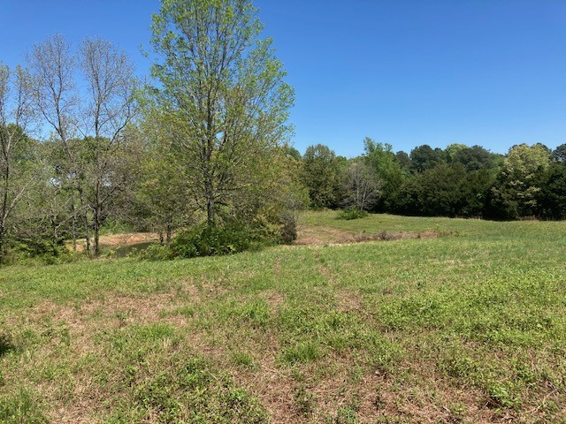 135 Martin Road Bon Aqua, TN 37025 - Photo 5 of 8 Gallery Image 5