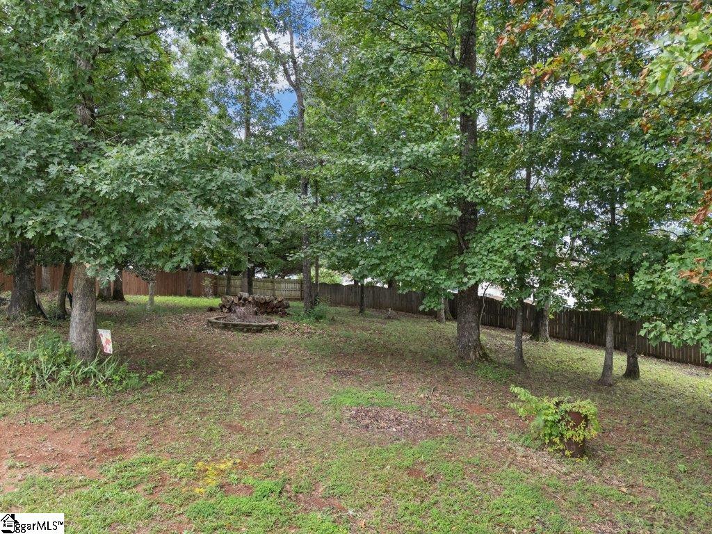 3 Tampico Court Greer, SC 29651 - Photo 29 of 33