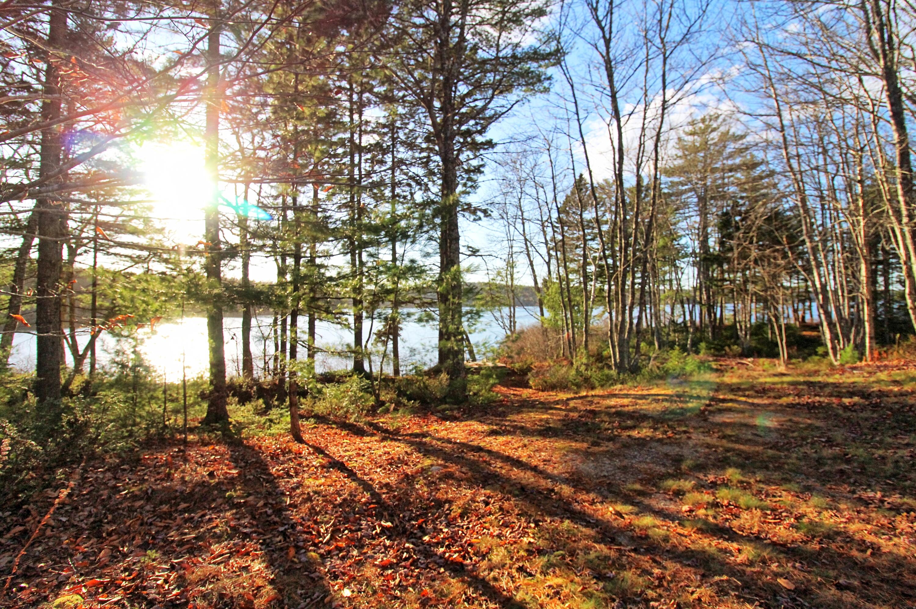 14 McMahon Road Gouldsboro, ME 04607 - Photo 28 of 67 west view