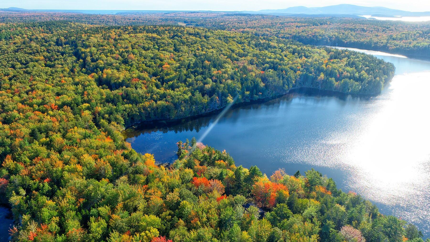 14 McMahon Road Gouldsboro, ME 04607 - Photo 51 of 67 Frontage with cove