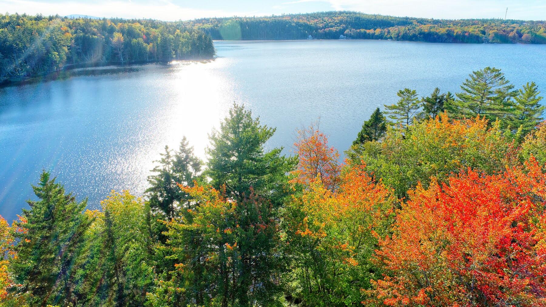 14 McMahon Road Gouldsboro, ME 04607 - Photo 7 of 67 From Main House
