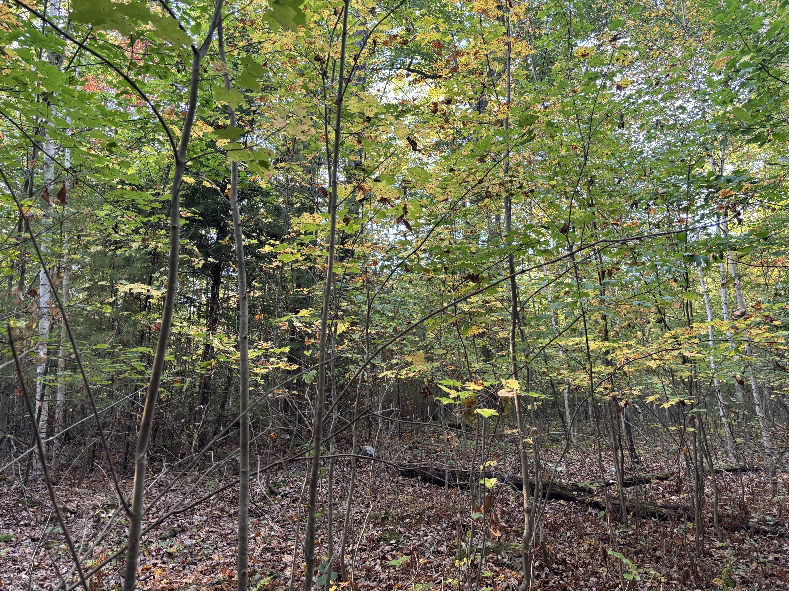 41 Blake Road Monmouth, ME 04259 - Photo 15 of 19 IMG_5720