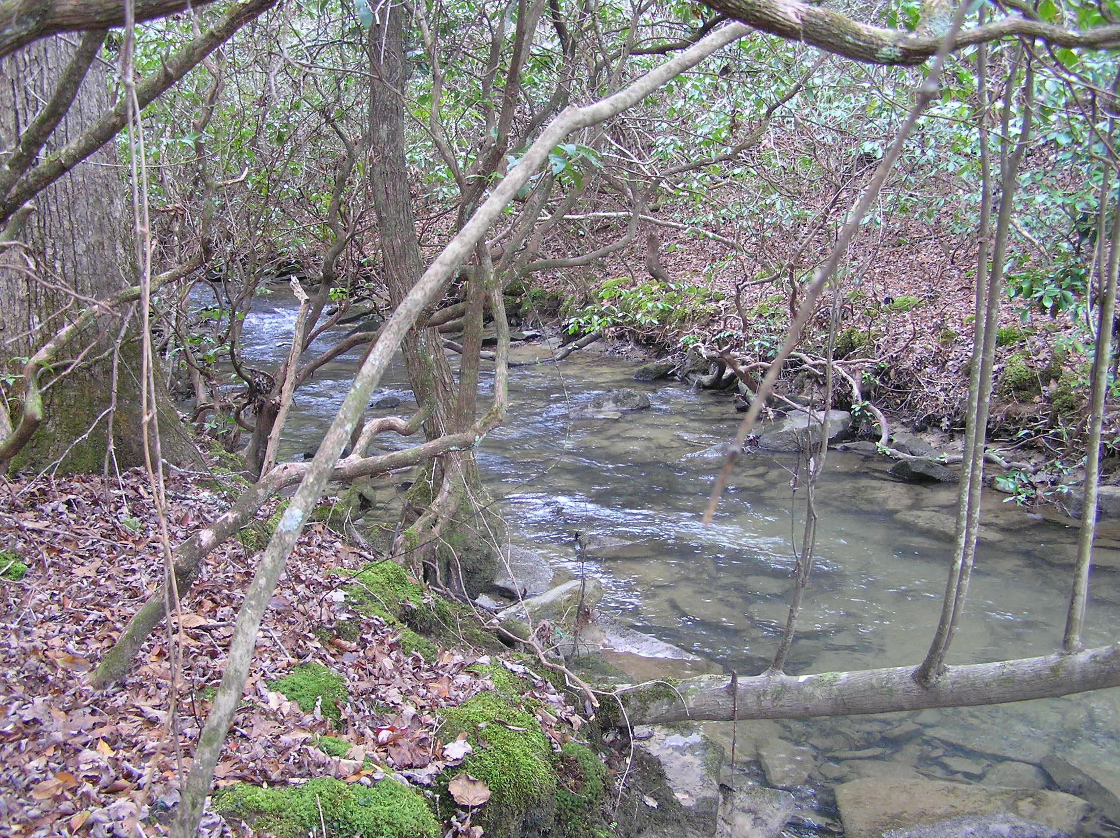 880 Woods Road Dunlap, TN 37327 - Photo 54 of 60 creek 018