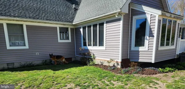 a big yard with lots of green space and deers