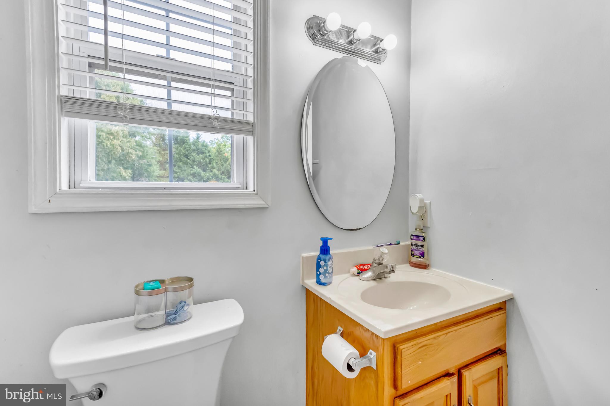 4925 Campground Road Eden, MD 21822 - Photo 22 of 42 a bathroom with a sink a mirror and a toilet