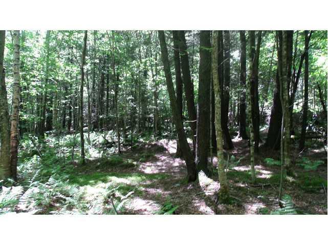 Tbd Macomber Hill Road Jay, ME 04239 - Photo 21 of 26 Land/Lot.