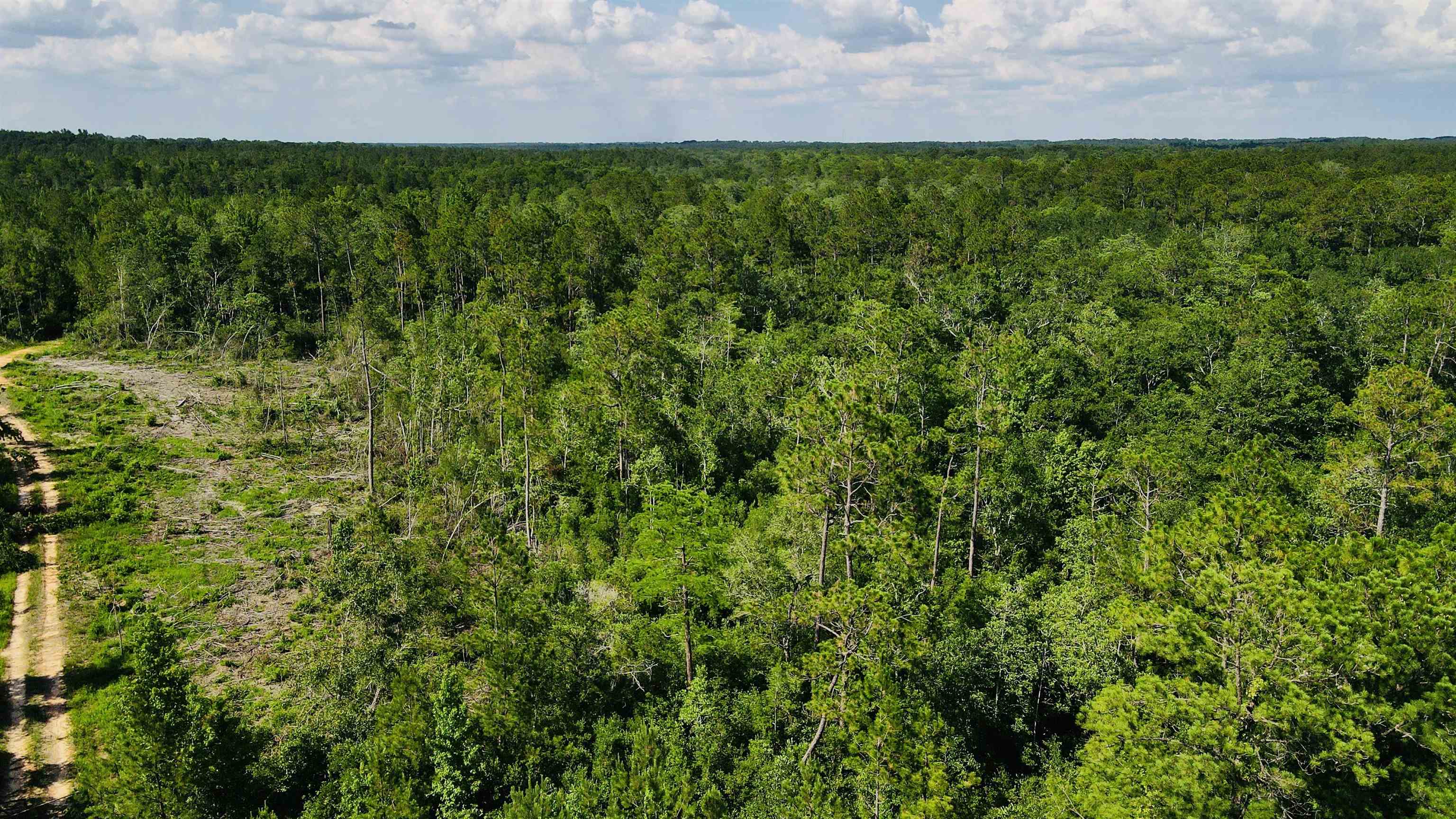 Hoyle Bryars Road Perdido, AL 36562 - Photo 12 of 12