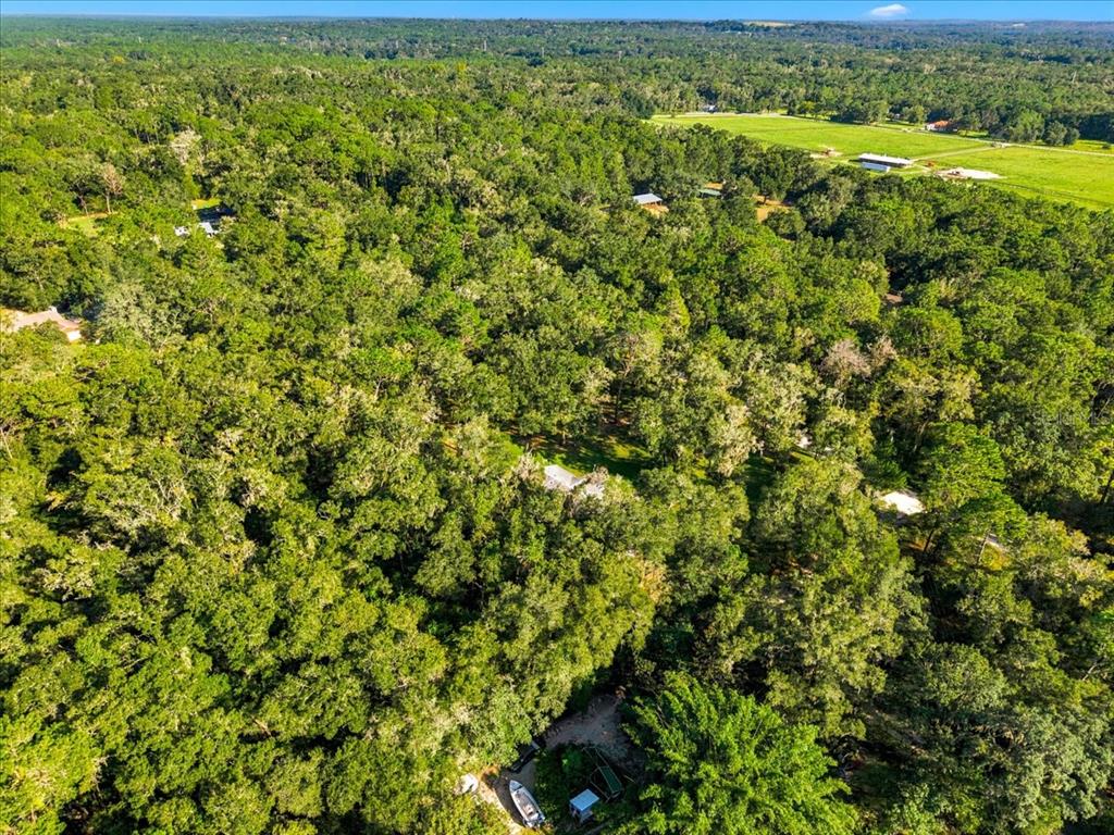 24403 McCaw Road Brooksville, FL 34601 - Photo 5 of 52 Gallery Image 5