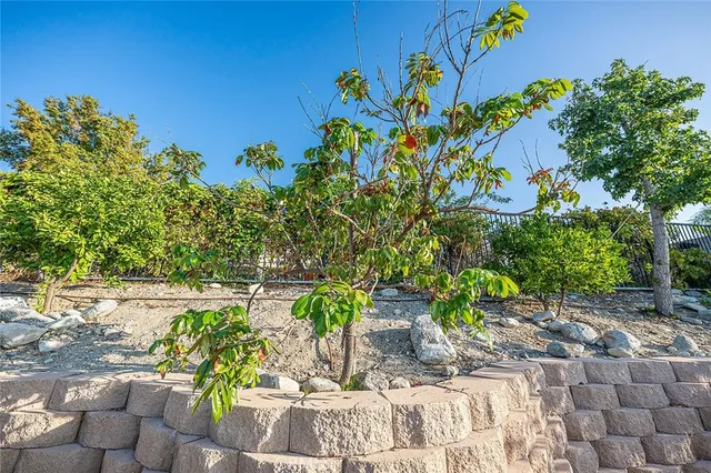 a view of a flower arrangement in backyard