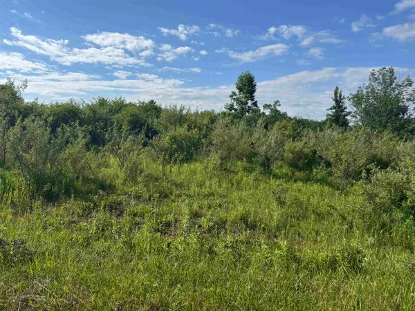 $12,000 | South Lakeview Court Road, Gladwin, MI 48624