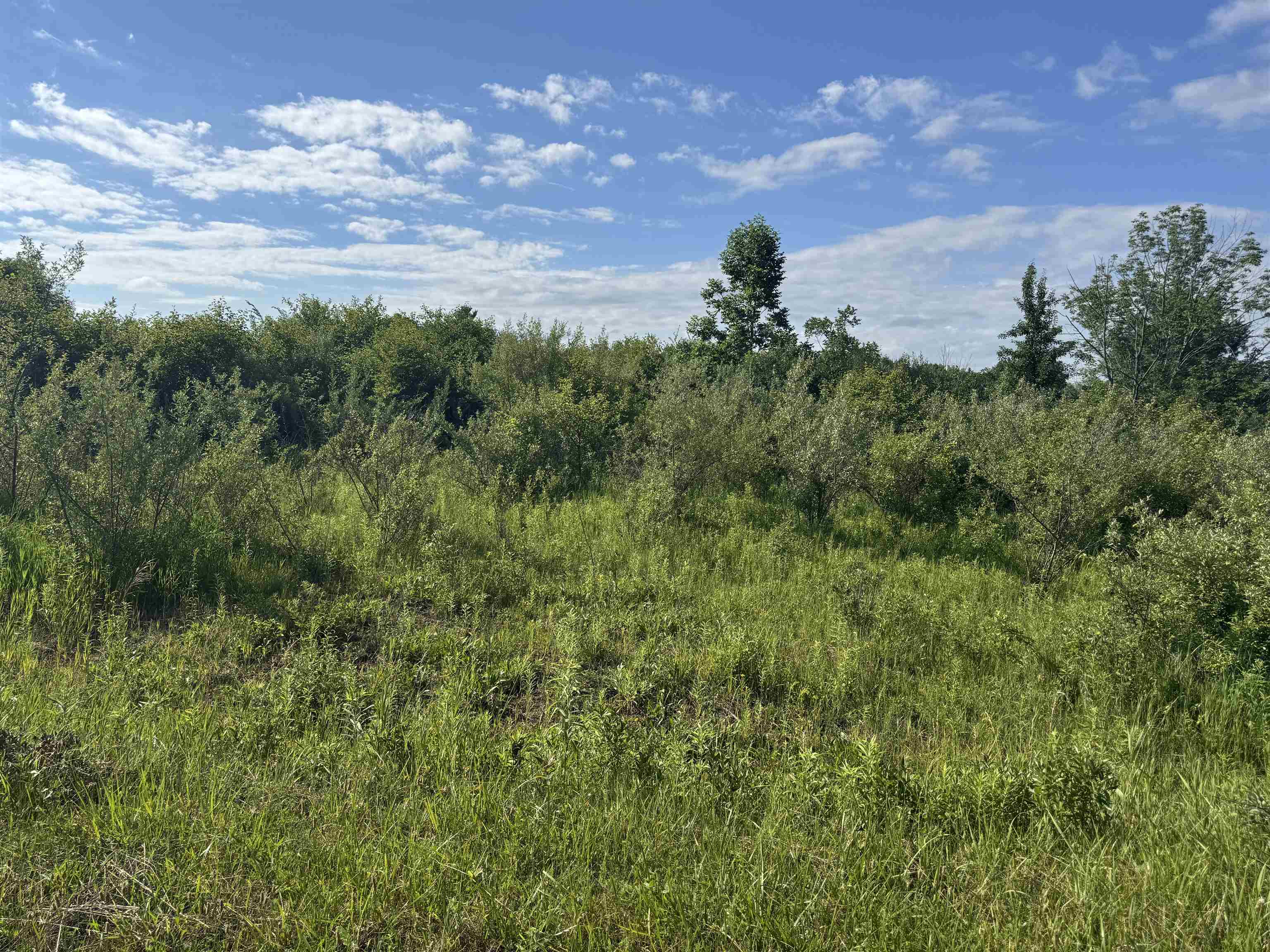 South Lakeview Court Road Gladwin, MI 48624 - Photo 1 of 12