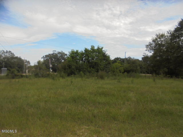 2 Pea Ridge Road Picayune, MS 39466 - Photo 10 of 10 DSC00696