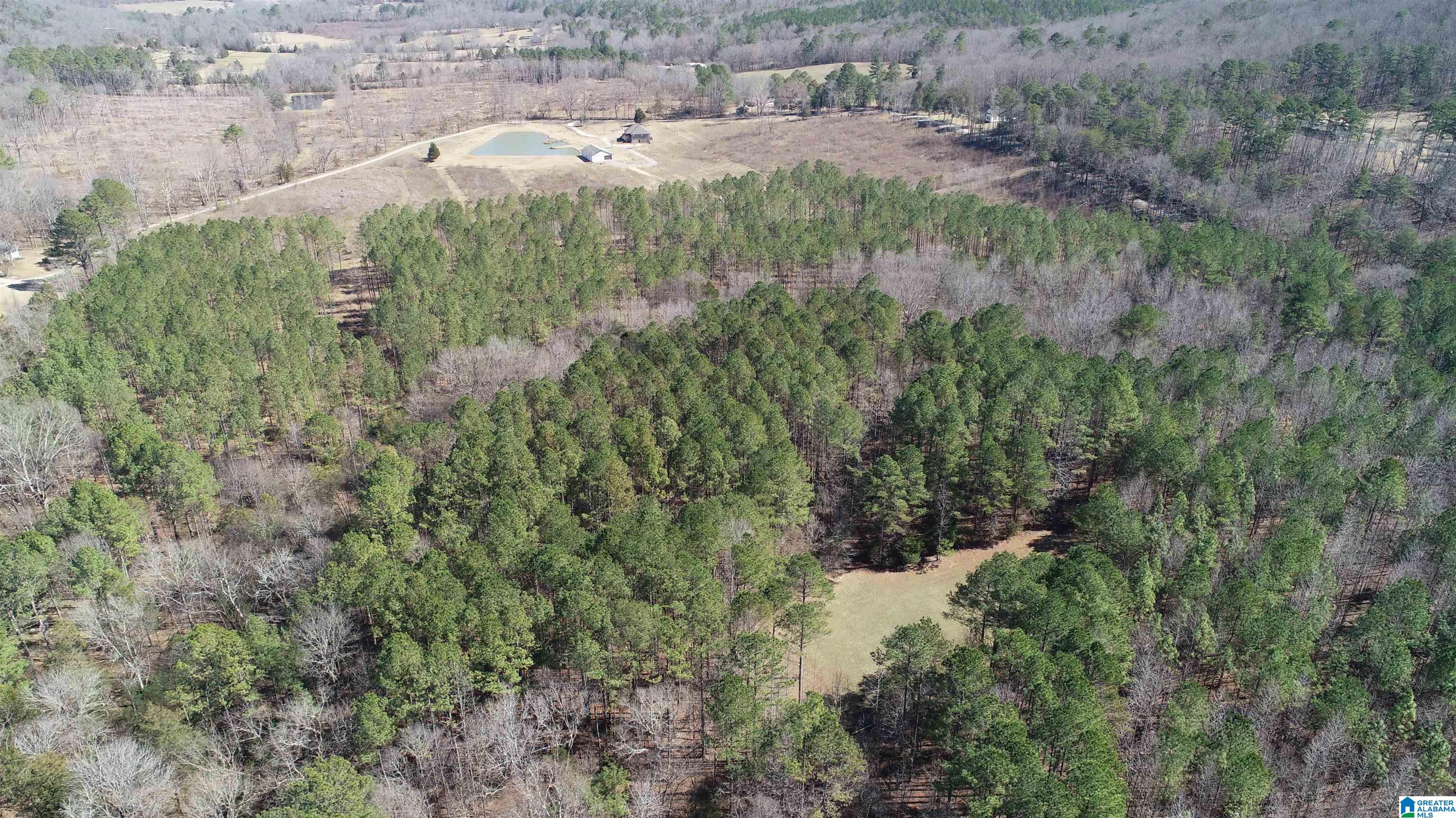109 Shadow Stone Lane Oneonta, AL 35121 - Photo 13 of 31