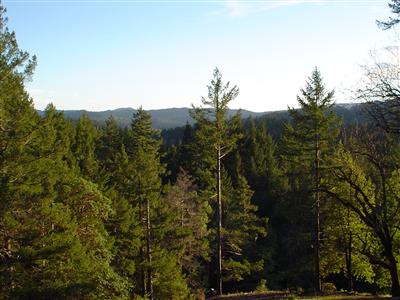 1377 Casteel Drive Willits, CA 95490 - Photo 4 of 5 a view of a city with lush green forest