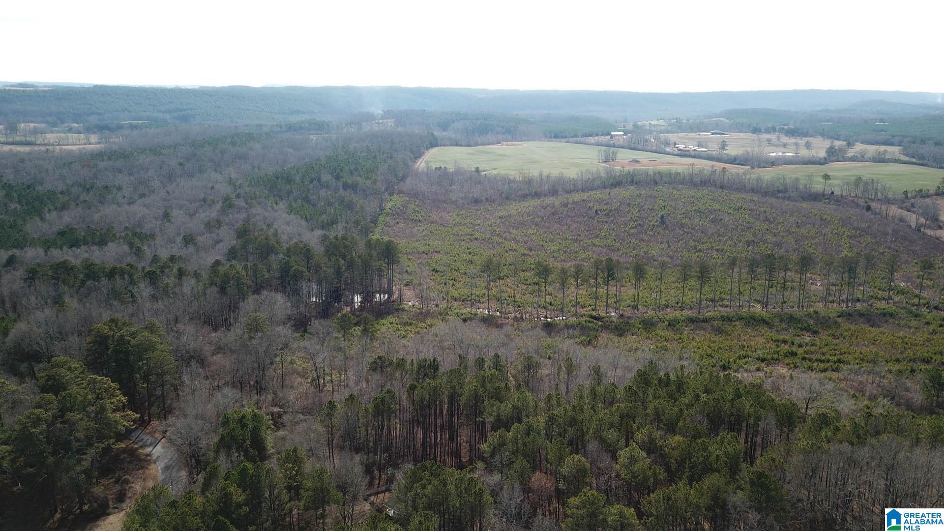 0 Altoona Cutoff Road, Unit 47 5 Oneonta, AL 35121 - Photo 12 of 36