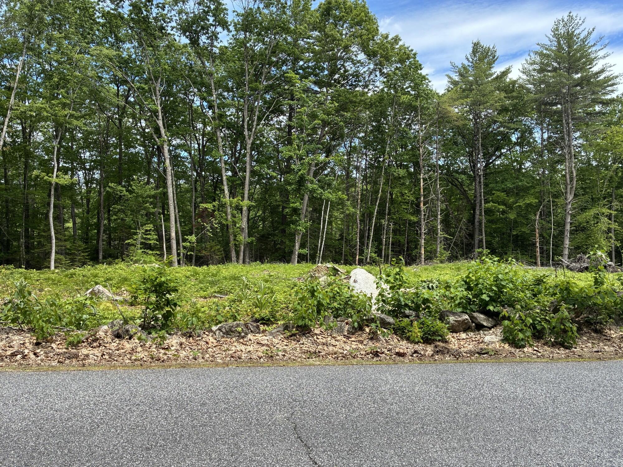 Map7-lot40 Round-The-Pond Road Norway, ME 04268 - Photo 5 of 6 IMG_2061