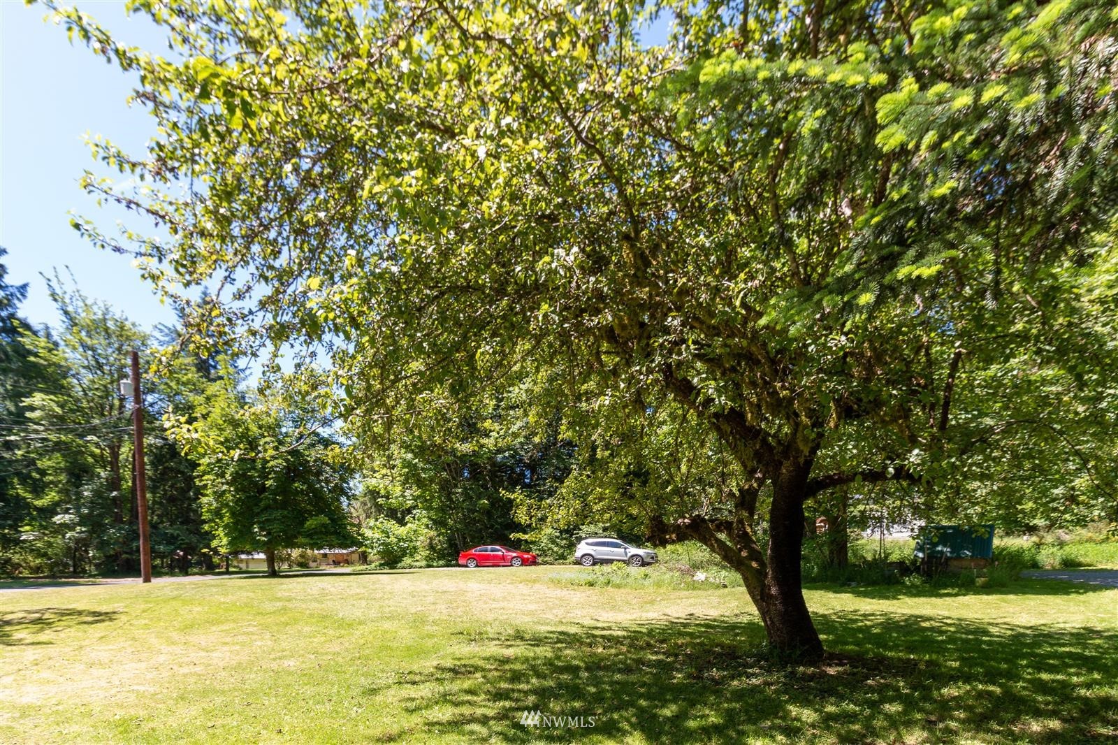 941 Silverbrook Road Randle, WA 98377 - Photo 20 of 34