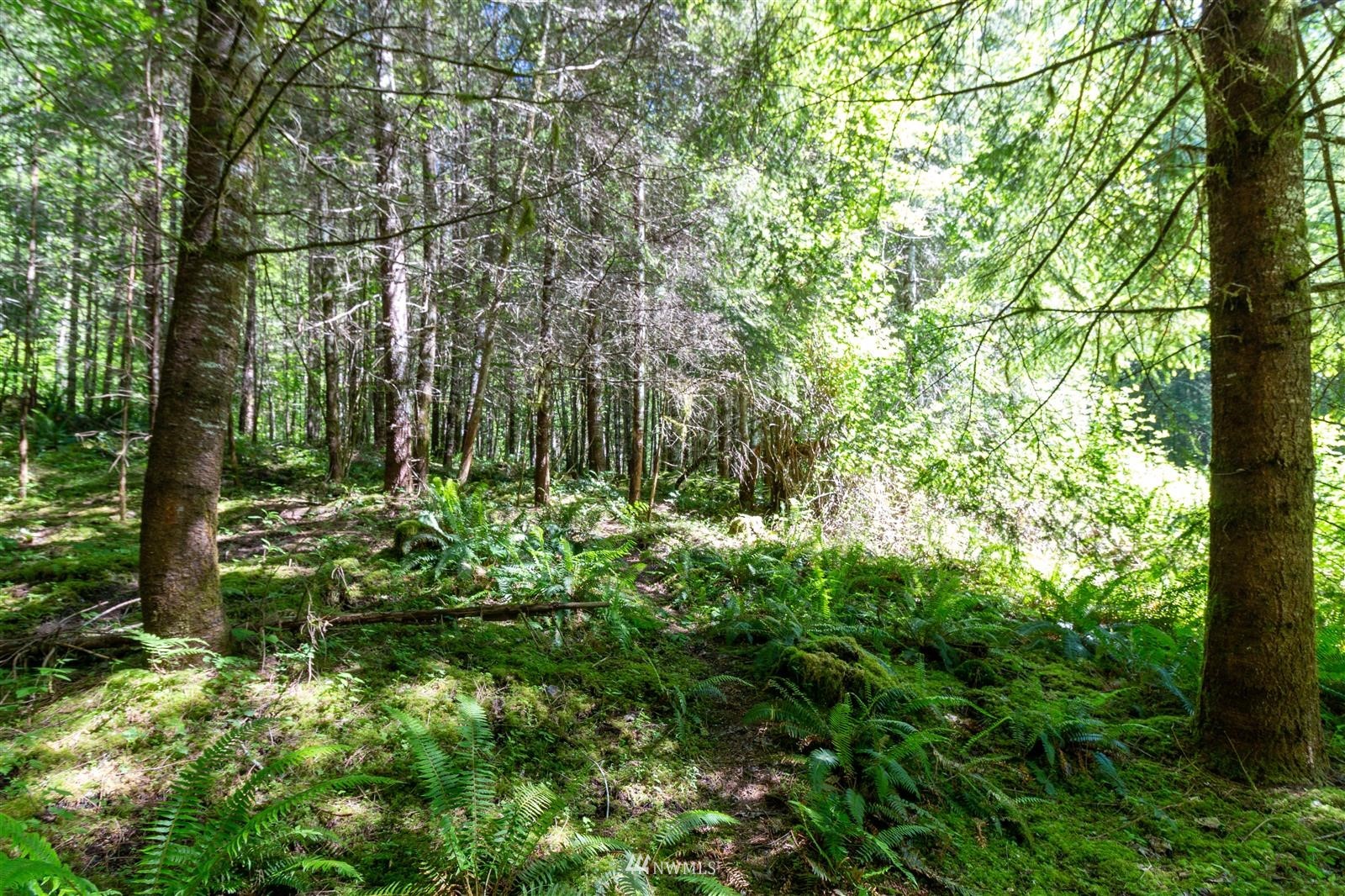 941 Silverbrook Road Randle, WA 98377 - Photo 22 of 34