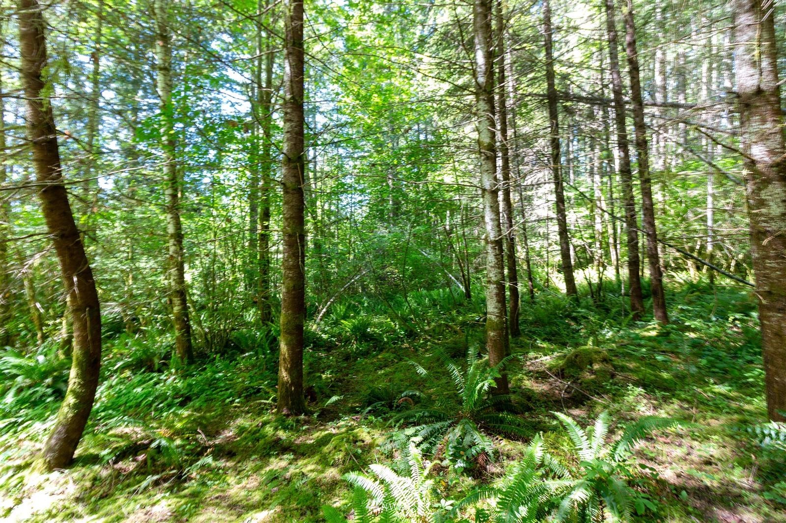 941 Silverbrook Road Randle, WA 98377 - Photo 23 of 34