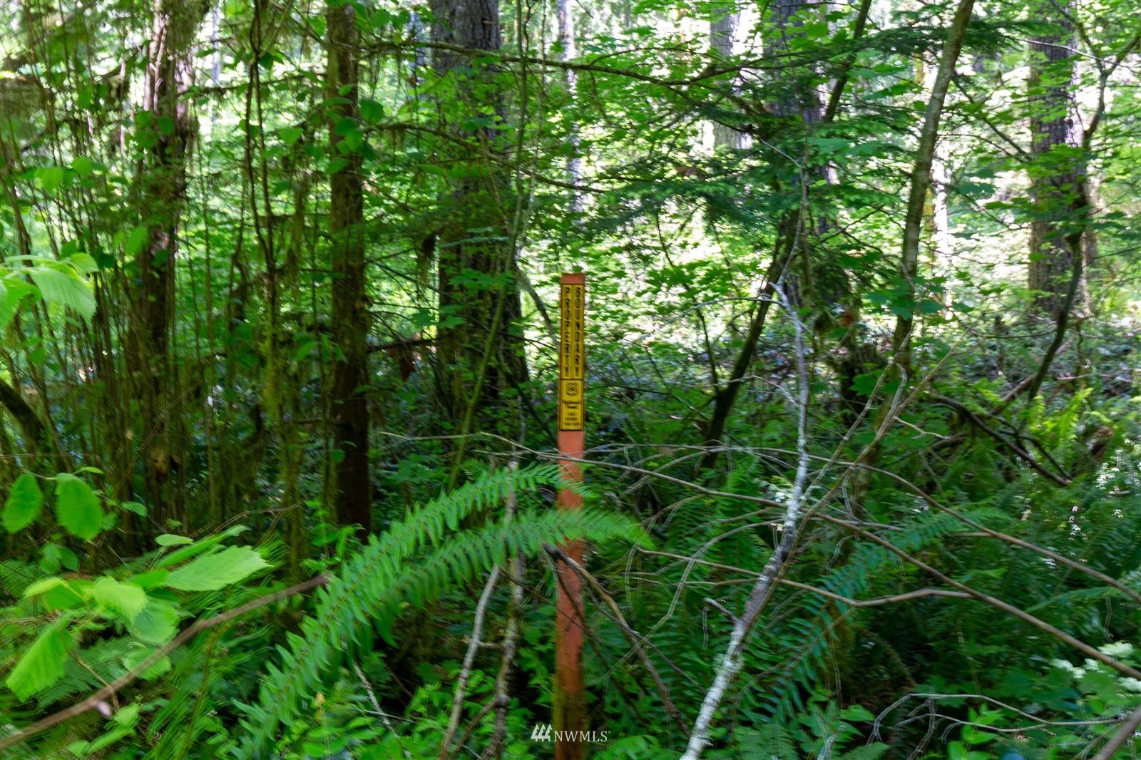 941 Silverbrook Road Randle, WA 98377 - Photo 25 of 34