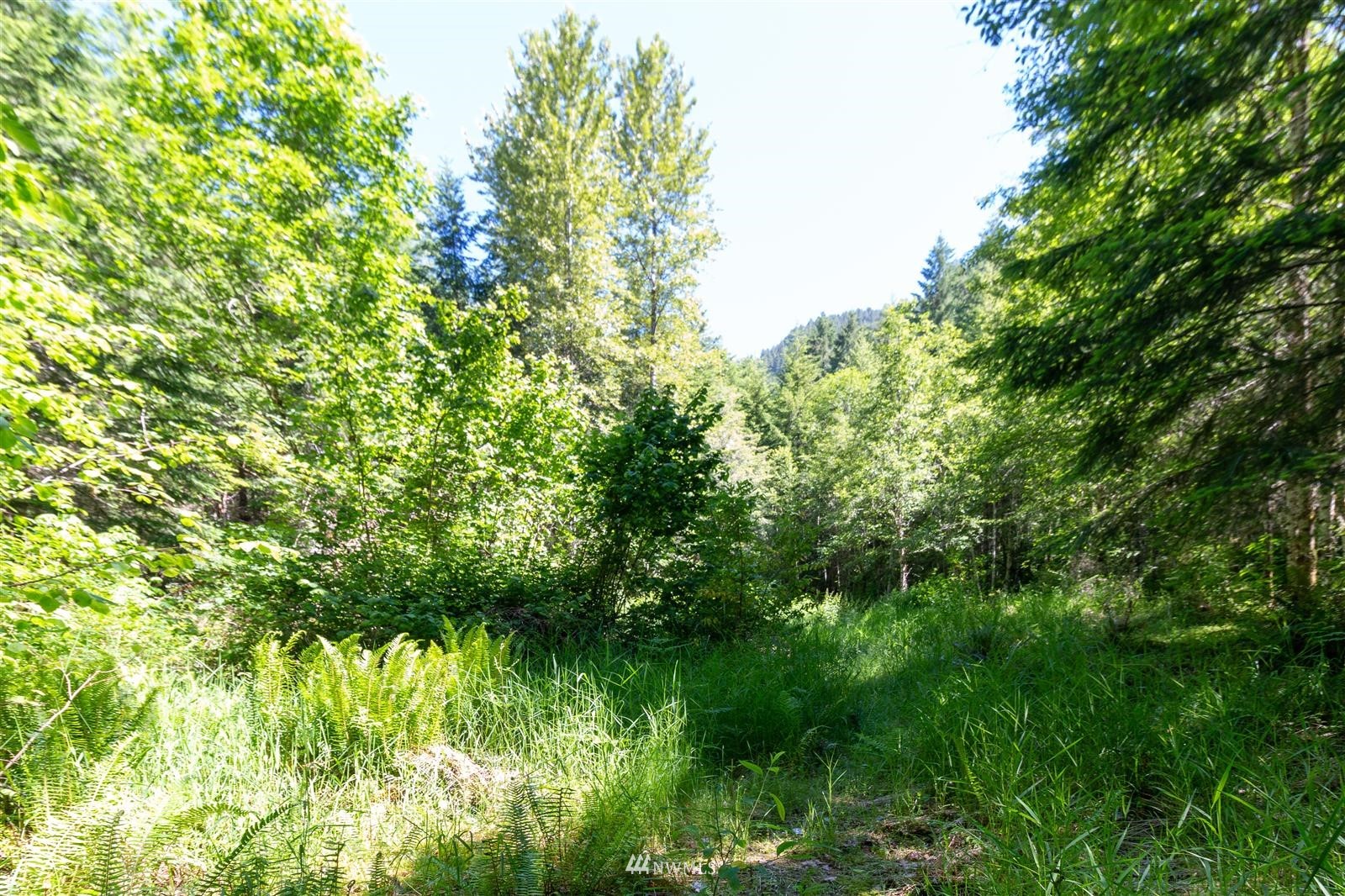 941 Silverbrook Road Randle, WA 98377 - Photo 26 of 34